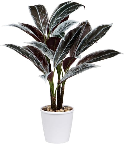 Kunstplant Cordyline Fruticosa 63 cm - Realistische Decoratie voor Binnen en Buiten, Ideaal voor Woonkamer, Badkamer en Balkon