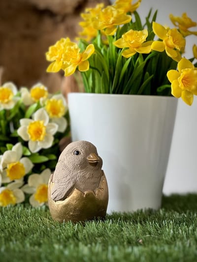 Kuiken uit ei cement 2 ass camel 9,5 cm hoog - decoratief beeld of figuur - thema Pasen - lentecollectie - zomercollectie - cadeau - geschenk - voor binnen - voor buiten - decoratie - interieur - voorjaar