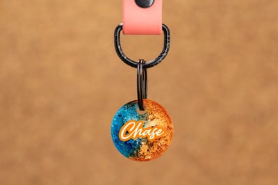 Crackerjack hondenpenning oranje/blauw - Gepersonaliseerd - Slijtvast - Moddervast - Uniek ontwerp