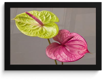 Poster in lijst - Fotolijst 30x20 cm - Posters - Planten - Anthurium - Groen - Roze - Posterlijst zwart - Decoratie - Wanddecoratie woonkamer - Muurdecoratie slaapkamer