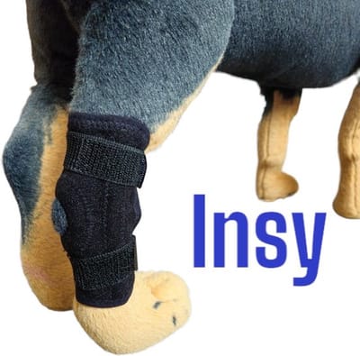 Hond brace. hondbrace, hond beugels, honden steun, honden spalk, dog splint, dog brace, dog support, hond pad protector, hond enkel brace, hond knie brace, braces, hond splint, honden bandage maat M.