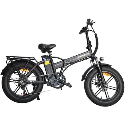 BAOLUJIE DZ2002 Elektrische Fatbike voor Volwassenen, 48V 16Ah Verwijderbare Batterij