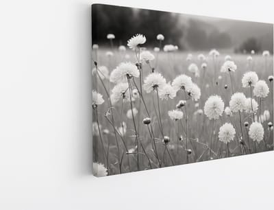 Saammp Canvas Schilderij - Landschap - Zwart-Wit - Bloemen van dichtbij - Natuur - 45x30 - Foto op canvas - Wanddecoratie - Muurdecoratie Woonkamer - Slaapkamer decoratie - Canvas Print