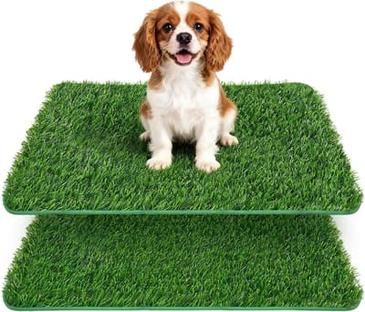 Hondentoilet voor Thuis, 2 Stuks, 58.5 x 46 cm, Kunstgras, Ideaal voor Balkon en Puppy Training, Vervangend Gras, Hondentoilet, Plasmatten
