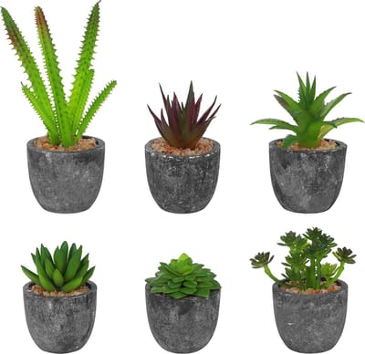 EGoods - Mini Vetplanten Set van 6 - Kunstmatige Neppe Cactussen en Vetplanten in Grijze Plantenpotten - Decoratief Voor Thuis en Kantoor - Tafel en Badkamer Decoratie