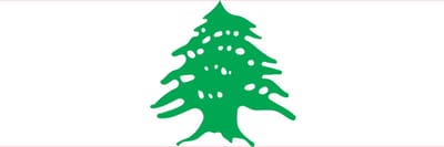 Vlag Libanon 50x75cm