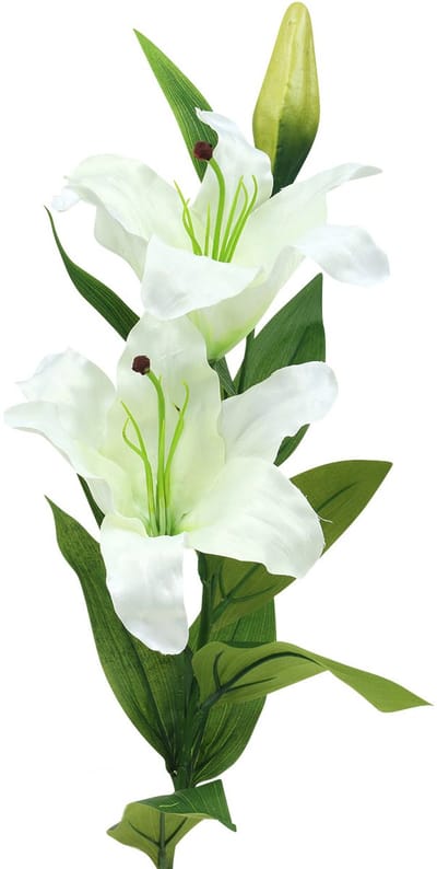 Paaslelie wit 86cm