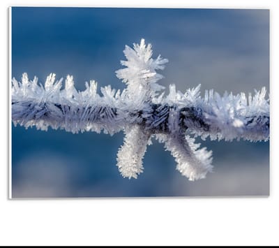 Forex - IJskristallen aan een Takje - 40x30cm Foto op Forex