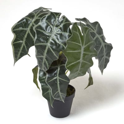 Homescapes Alocasia Kunstplant in Pot Olifantoor 50 cm