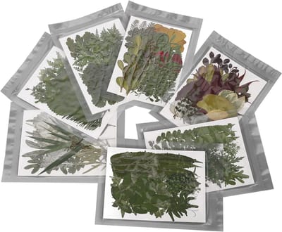 Droogbloemen Set - Gedroogde Bloemen - Handgemaakte Decoraties - 245 Stuks - Gemengde Varianten - Kleurrijk
