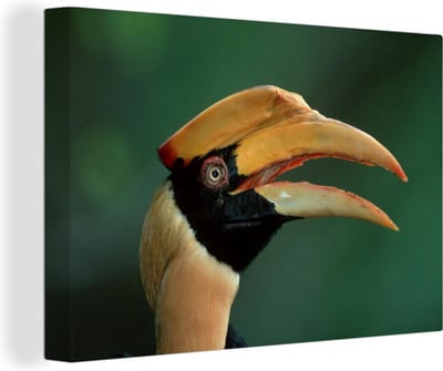 Canvas schilderij 150x100 cm - Wanddecoratie Neushoornvogel - Portret - Vogel - Muurdecoratie woonkamer - Slaapkamer decoratie - Kamer accessoires - Schilderijen