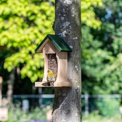 CJ Wildlife Vogelvoederhuisje voor Kleine Vogels & Tuinvogels - Mississippi - Voederhuis van Hout - Voederhuisje Wandmodel - Bruin