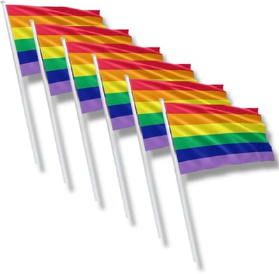 Regenboog Vlag op Stok – 6 Stuks – 60x45 cm – Extra Grote Pride Vlaggen voor Parade & Feestdecoratie