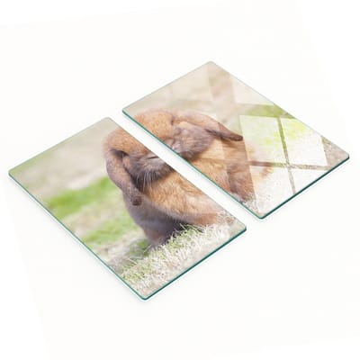 Stijlvolle en duurzame glazen borden met een schattige konijnenprint, 2x30x52 cm