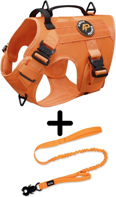Always Prepared® Pro Combi Deal - Hondentuig + Riem - Anti-Trek Set voor Middel en Grote Honden - Oranje - Maat M