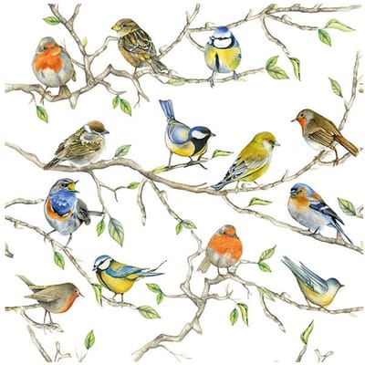 Tafel diner/lunch servetten - 20x stuks - 33 x 33 cm - tuinvogels thema print - roodborstje/pimpelmees/vink