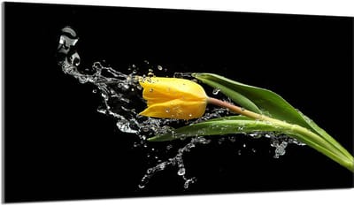 TMK ArtDeko Tulipan - Roestvrijstalen Beschermplaat - 90x52cm - Glas - Veelzijdig