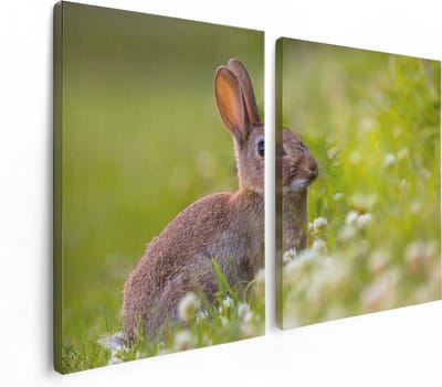 Artaza Canvas Schilderij Tweeluik Konijn Tussen De Witte Bloemen - 120x80 - Foto Op Canvas - Canvas Print