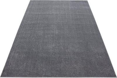 Laagpolig vloerkleed Ata - lichtgrijs - 120x170 cm
