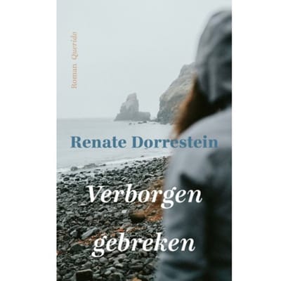 Verborgen Gebreken - Renate Dorrestein