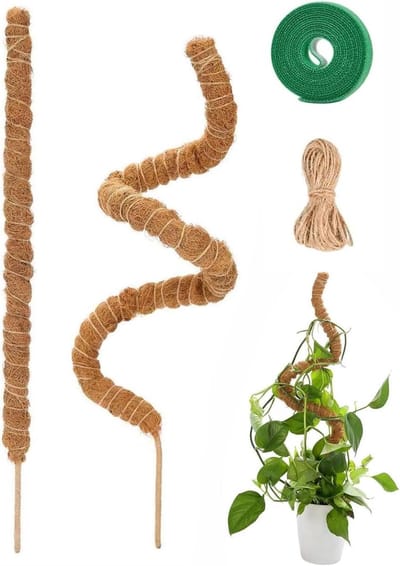 Moestab Monstera 30CM - Kokos Plantenstab - Verlenger voor Kletterplanten - Ondersteunt groei van kamerplanten - ShopVlot