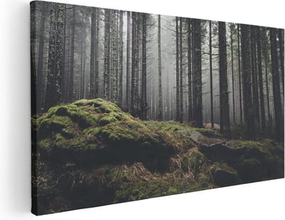 Artaza Canvas Schilderij Bos - 40x20 cm - Klein - Wanddecoratie Mistig Bos - Muurdecoratie Bomen - Schilderijen Op Canvas Natuur