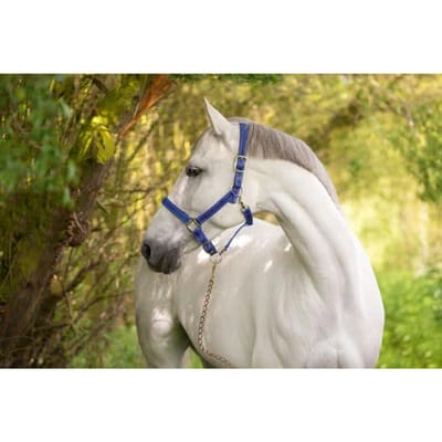 Kerbl Halster Mustang, blauw/zwart, gr 3