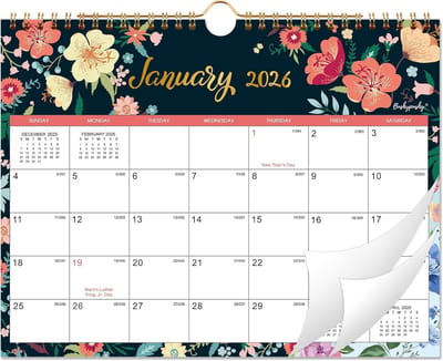 Grote Wandkalender 2025-2026 (18 Maanden) - Juli 2025 t/m December 2026 - Dik Papier & Dubbeldraads