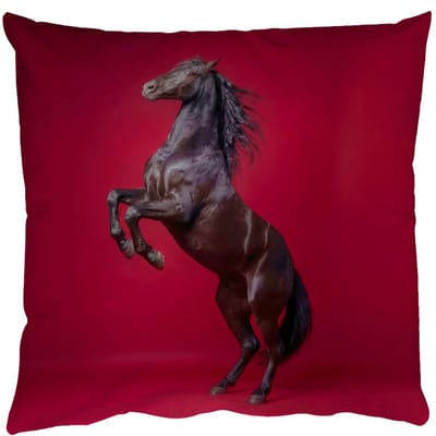 Sierkussens - Kussentjes Woonkamer - 50x50 cm - Hengst - Steigert - Rood
