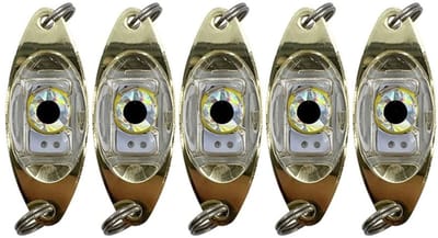 Dailygoods - Vissen Lokken Lichten - Onderwater Lampen - Duurzaam en Drukbestendig - Geschikt voor Boot en Zee - Fisheye Ontwerp - Ideaal voor IJs Vissen