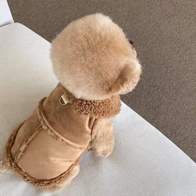 Klassieke Effen Hondenvesten Winter Fleece Warm Huisdier Hondenkleding Voor Kleine Middelgrote Honden Jassen Puppy Kleding Yorkshire Terrier Perro XS