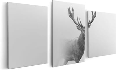 Artaza Canvas Schilderij Drieluik Hert - Zwart Wit - 120x60 - Foto Op Canvas - Canvas Print