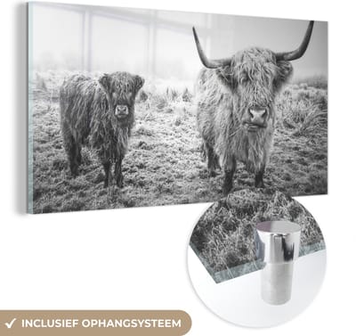 MuchoWow® Glasschilderij 120x60 cm - Schilderij acrylglas - Schotse hooglanders - Licht - Lucht - Natuur - Foto op glas - Schilderijen
