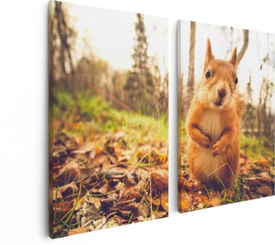 Artaza Canvas Schilderij Tweeluik Eekhoorn in het Bos tijdens de Herfst - 80x60 - Foto Op Canvas - Canvas Print