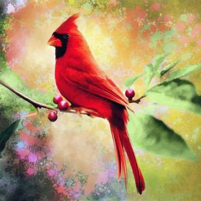 Borduurhandwerk Heldere strass diamantschildersets voor volwassenen Glinsterende vogels muurkunst 30x30CM red