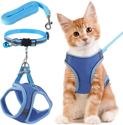 Kattentuig met kattenriem, kattenharnas met riem, anti-ontsnapping, verstelbaar kattenharnas met harnas voor katten, oranje met reflecterende strepen (S, blauw)
