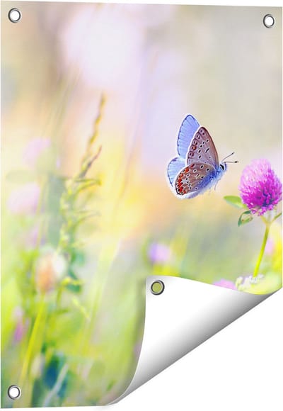 Gards Tuinposter Blauwe Vlinder bij een Paarse Bloem - 40x50 cm - Tuindoek - Tuindecoratie - Wanddecoratie buiten - Tuinschilderij