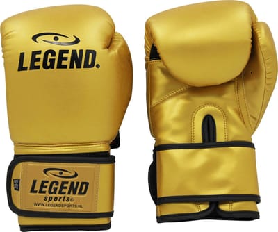 Powerfit & Protect Bokshandschoenen Heren/Dames Goud PU 10 oz