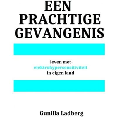 Een Prachtige Gevangenis - Gunilla Ladberg