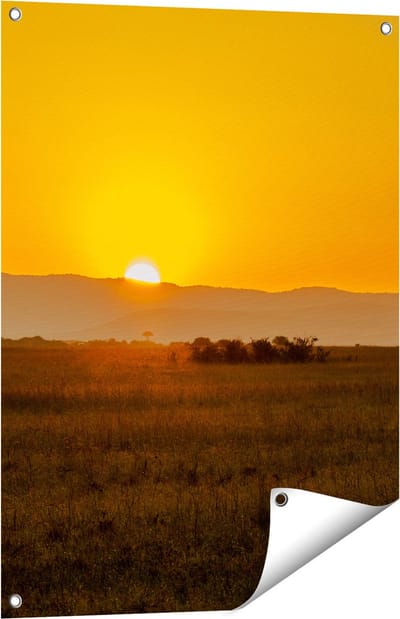 Gards Tuinposter Zonsopgang in de Savanne met een Boom - 60x80 cm - Tuindoek - Tuindecoratie - Wanddecoratie buiten - Tuinschilderij
