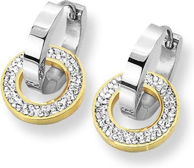 Amanto Oorbellen Derin - 316L Staal - Ringen - Duokleur - 25x16x3mm