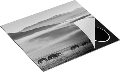 Chefcare Inductie Beschermer Kudde Wilde Paarden in de Wei bij Heuvels - Zwart Wit - 60x50 cm - Afdekplaat Inductie - Kookplaat Beschermer - Inductie Mat