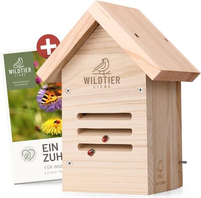 Lieveheersbeestjeshotel Massief Hout - Weerbestendig - Insectenhotel voor Tuin en Balkon
