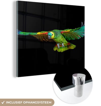 MuchoWow® Glasschilderij 50x50 cm - Schilderij acrylglas - Papegaai - Vogel - Veren - Foto op glas - Schilderijen