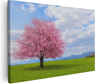 Artaza Canvas Schilderij Kersenbloesem - 30x20 cm - Klein - Wanddecoratie Bos - Muurdecoratie Landschap - Kamer Accessoires Natuur