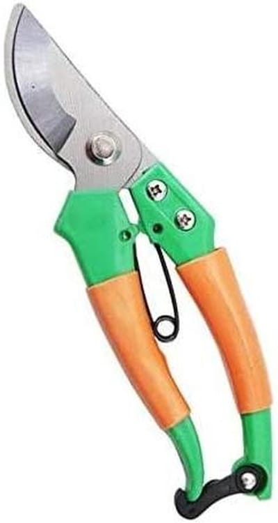 professionele scherpe tuinsnoeischaar handtakken schaar snoeischaar schaar tuinschaar trimmer snoeigereedschap snoeischaar/groen