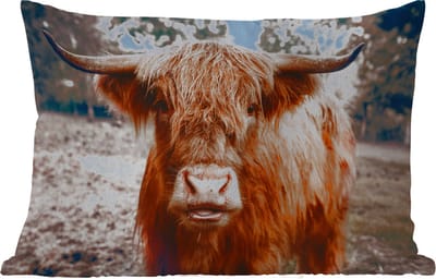 Buitenkussens - Koe- Schotse hooglander - Hoorns - Bruin - Landschap - 60x40 cm - Weerbestendig
