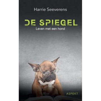 De Spiegel - Harrie Seeverens