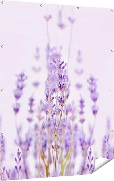Gards Tuinposter Paarse Lavendel Bloemen - 120x160 cm - Tuindoek - Tuindecoratie - Wanddecoratie buiten - Tuinschilderij