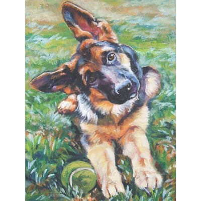 5D DIY diamant schilderij militaire hond diamant borduurwerk mozaïek kruissteek strass decoratie 30X40CM